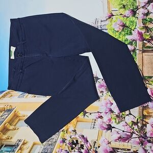 Anthropologie Navy High Waist Chino Pants Size 10